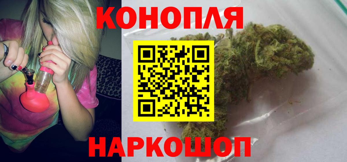 Каннабис сатива Карачаевск